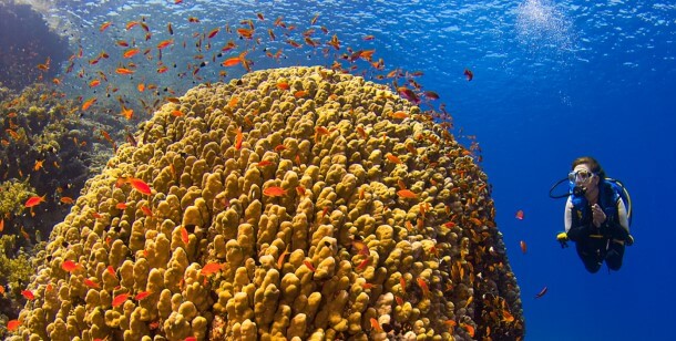 Viaje buceo Mar Rojo